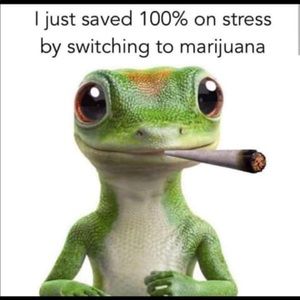 Meet your Posher, Morris